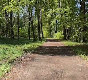 Rundwanderweg 