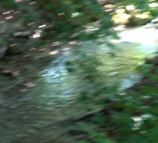 Wiesaztal Gönningen