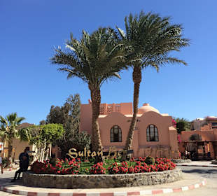Stadtrundgang El Gouna