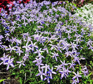 Rundgang durch den Park Platz des Republik