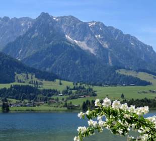 Der Walchsee