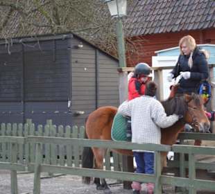 Freilichtmuseum Skansen