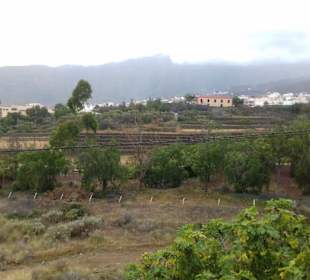 Pyramiden von Güimar in Guimar