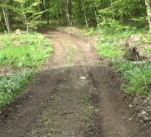 Wandertour Feuchtgebiet Schönbuch