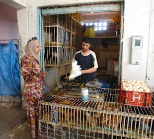 Verkauf von Lebendgeflügel