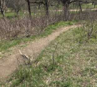 Wanderung Florianrunde