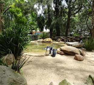 Stadtrundgang Sydney