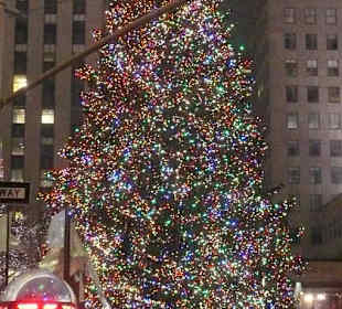 XMas tree 2010