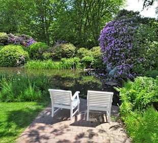 Sommeranfang im Schlossgarten Oldenburg