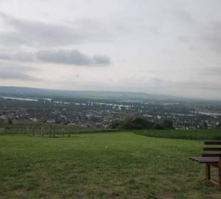Abtei St. Hildegard Ausblick