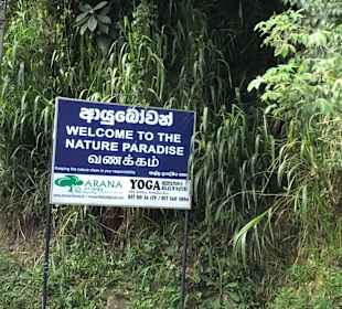Ranga Tours