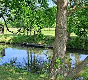 Spreewald