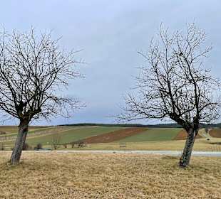 Wandern Bad Tatzmannsdorf