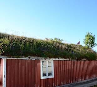 Ausflug auf den Lofoten