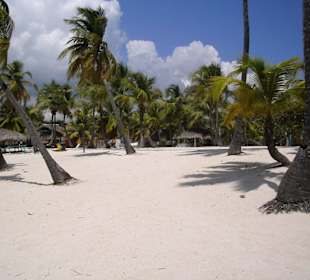 Isla Catalina