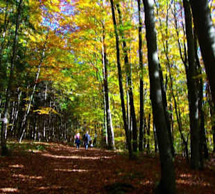 Wanderweg zur Höhle