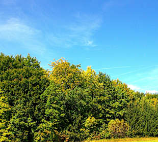 Das Affalterthal Sept. 2012