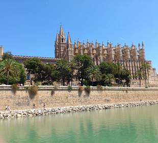 Palma