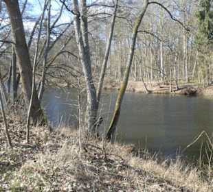 Bei einem Spaziergang am Sennfelder Seenkranz