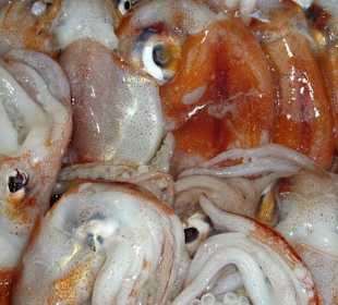 Die Fischverkaufshalle im Hafen von Alghero