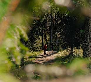 Wandern Coredo