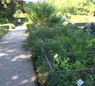 Botanischer Garten München