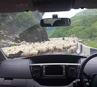 Gruzińska Droga Wojenna