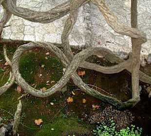 Sieht aus wie 'ne Acht