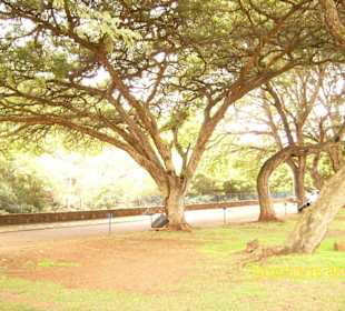 Wie aus dem Bilderbuch.