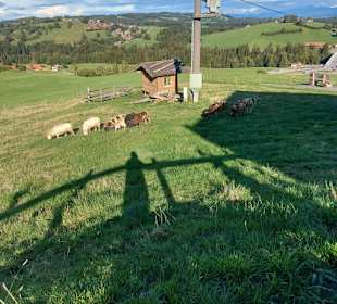 Aussicht Schönegger Käsealm