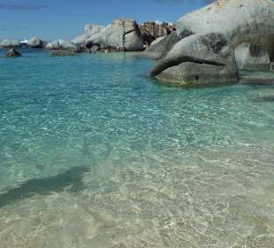 Hier ist die Karibik zu Hause