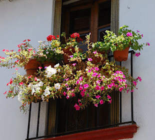 Paseo por la judería y patios de Córdoba