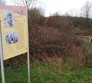 Kirschlandwanderweg in Schönenberg-Kübelberg