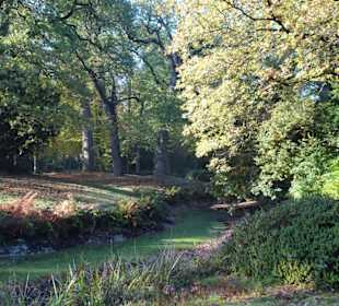 Herbstspaziergang durch den Schlosspark Lütetsburg
