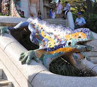 Salamander am Haupteingang