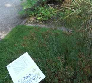 Botanischer Garten München