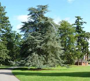 Gartenanlage