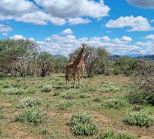 Tsawo West