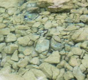 Озеро Курнас 