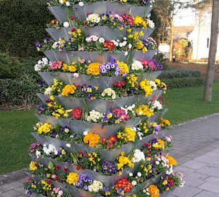 Blumen Pyramiden im Kurpark