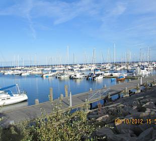 Der Jachthafen vollbesetzt
