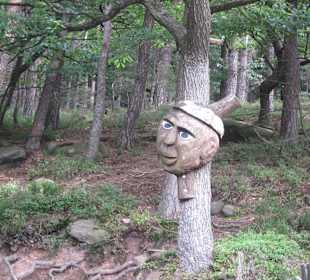 Auf dem Weg zur Landauer Hütte