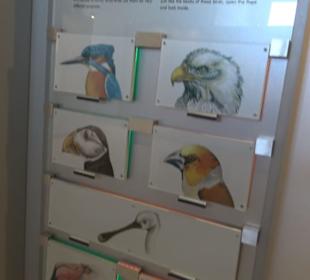 Jura-Museum
