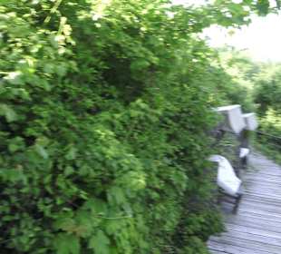 Wellnessbereich Mawell Resort 