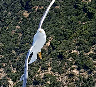 Ausflug Mit dem Schiff Berg Athos