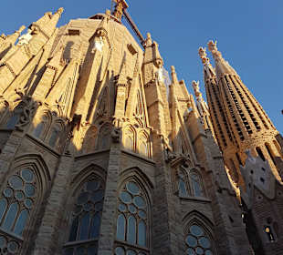 Katedra Sagrada Familia