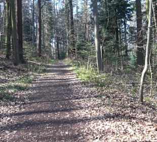 Wanderung Florianrunde