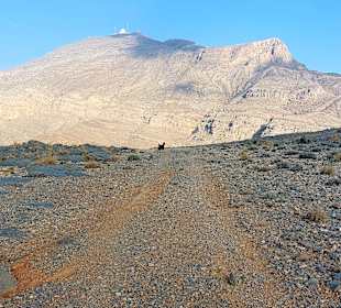Ausflug Jebel Harim