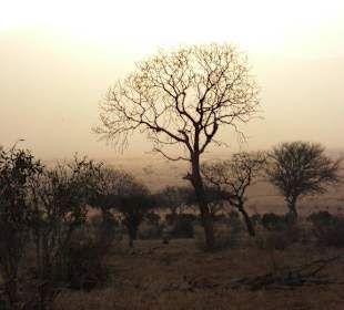 Atemberaubende Stimmung