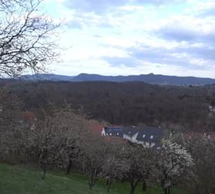 Der Grafenberg